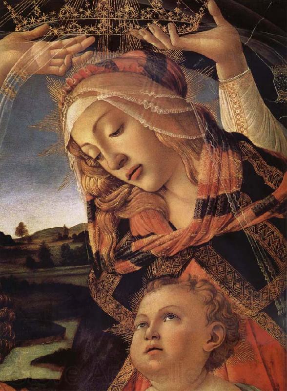 Sandro Botticelli The Madonna and the Nino with angeles Spain oil painting art